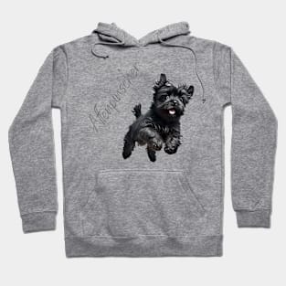 Affenpinscher Hoodie